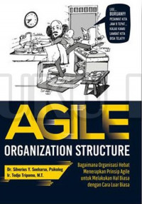 Agile Organization Structure